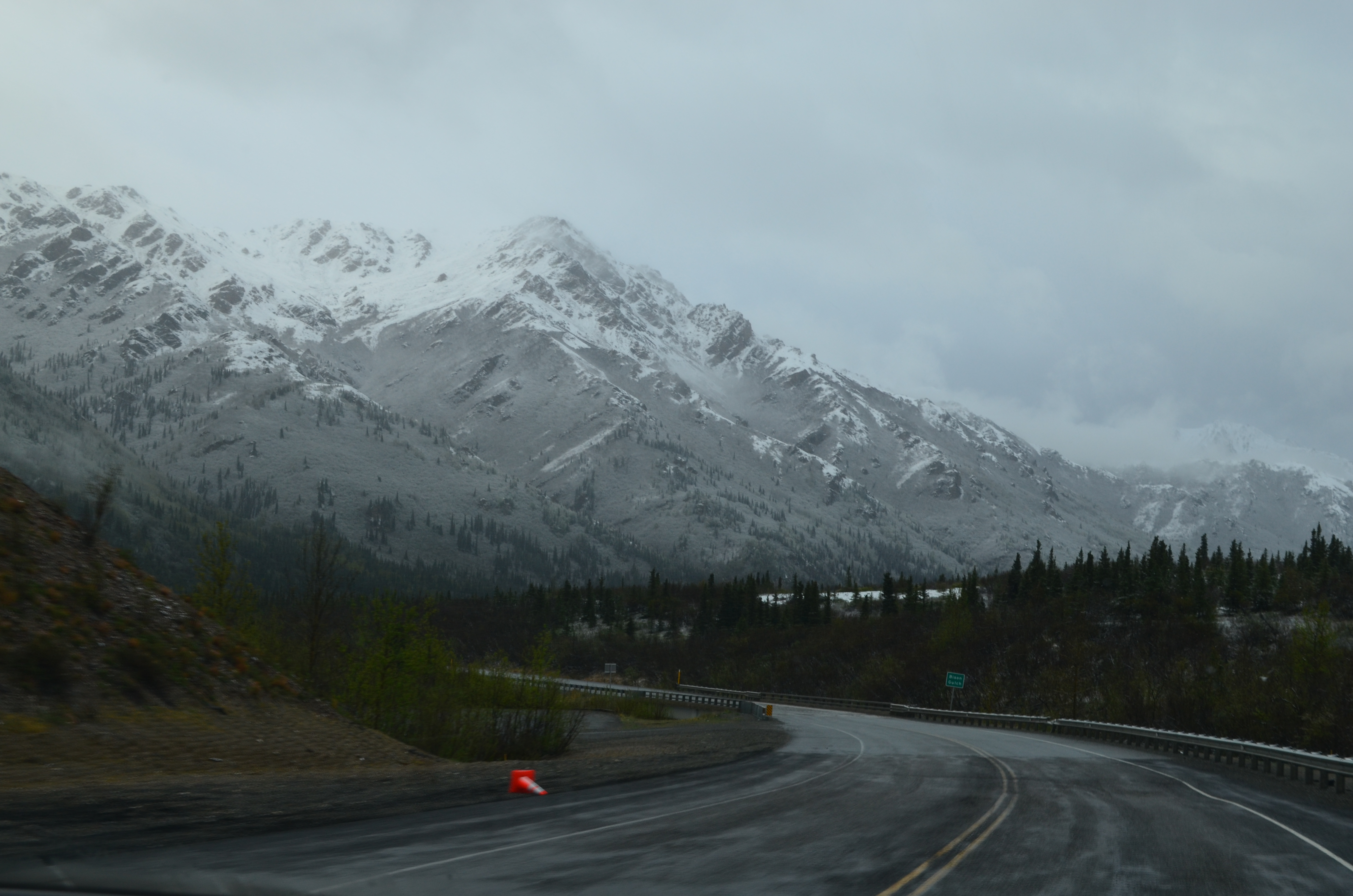 ./2017/08 - Alaska Cruise/03 - Denali/DSC_0190.JPG